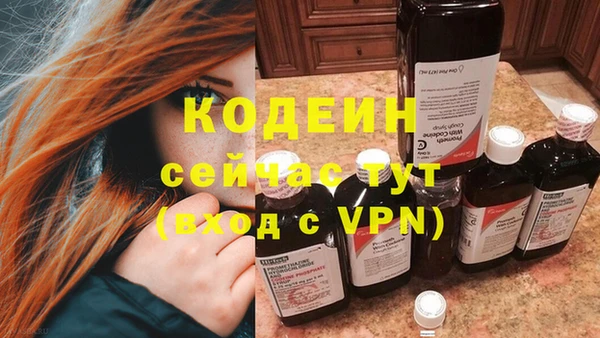 хмурый Каменка