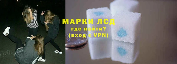 хмурый Каменка