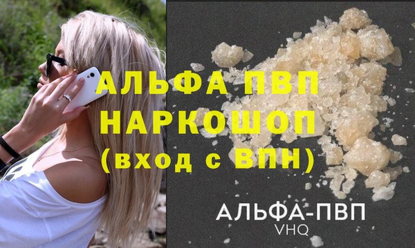 хмурый Каменка