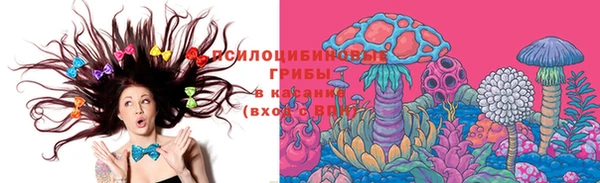 хмурый Каменка