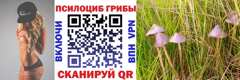 Галлюциногенные грибы GOLDEN TEACHER  Лихославль 